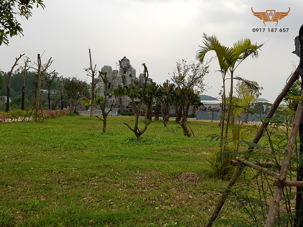 thiet-ke-canh-quan-san-vuong-muong-thanh-da-nang-13