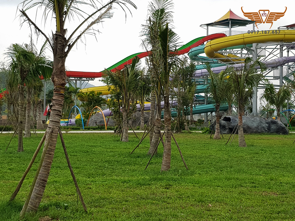 thiet-ke-canh-quan-san-vuong-muong-thanh-da-nang-16