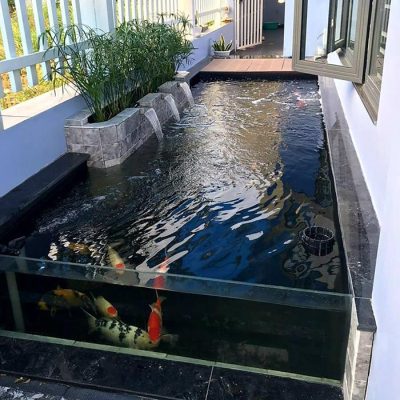 mẫu hồ cá koi đơn giản