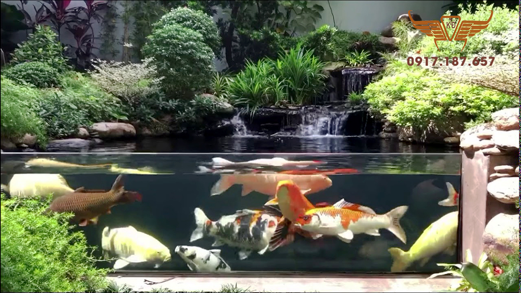 thiet-ke-thi-cong-ho-ca-koi-13