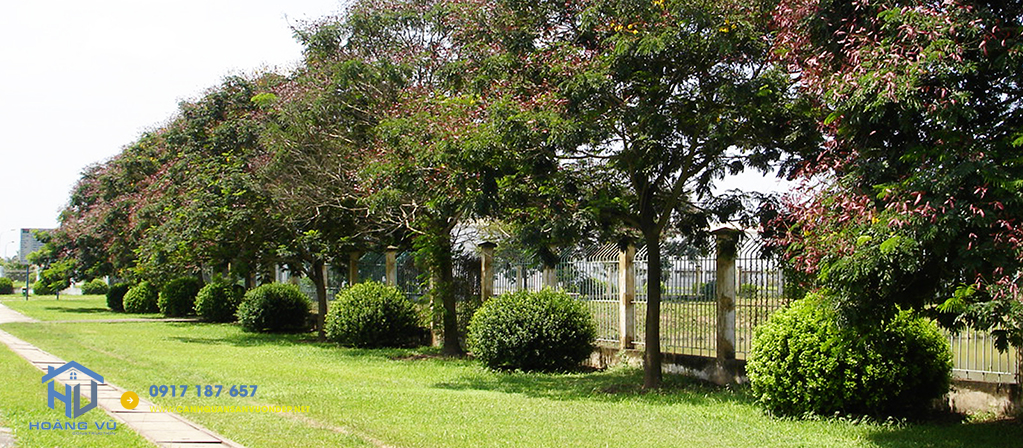 thiet-ke-canh-quan-san-vuon-dep-17