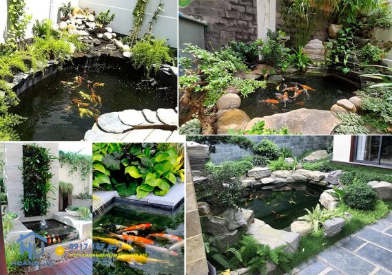 mau-ho-ca-koi-mini-truoc-nha