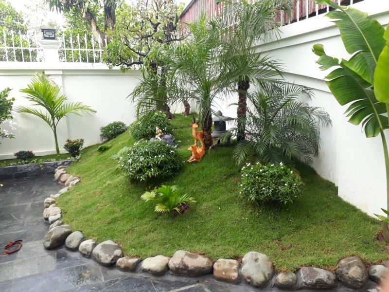 hướng dẫn thiết kế sân vườn