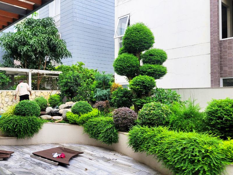 hướng dẫn thiết kế sân vườn