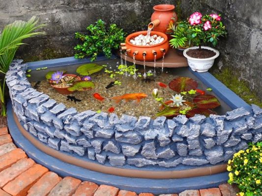 Nuôi cá ngoài trời không cần lọc
