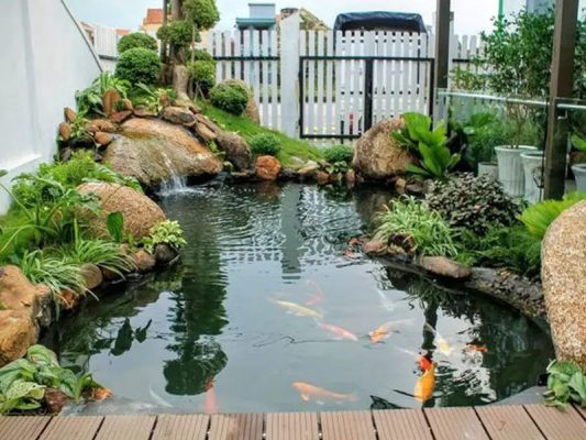 thiết bị hồ cá koi